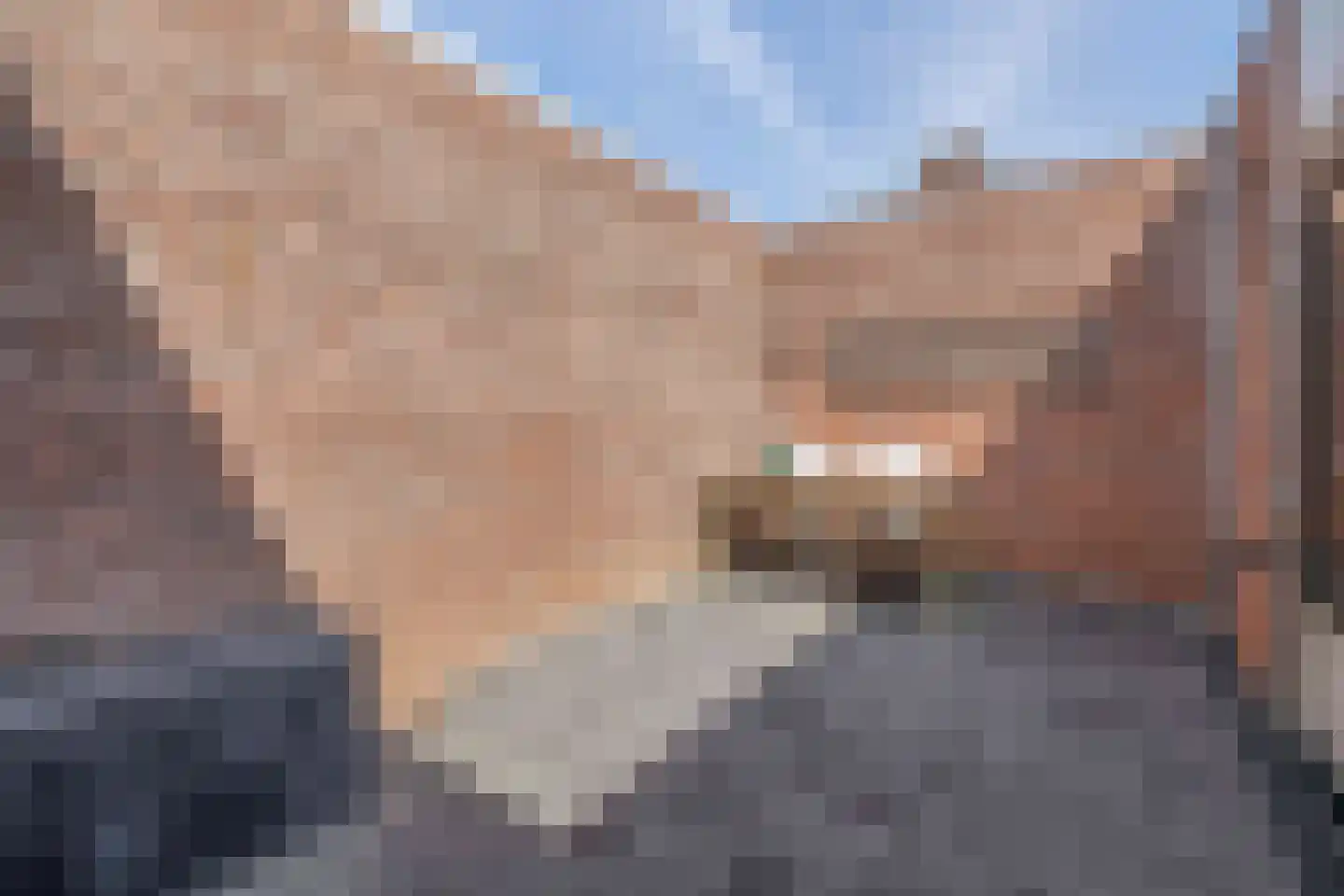 Esdoornhof 15 Dirksland thumbnail 20