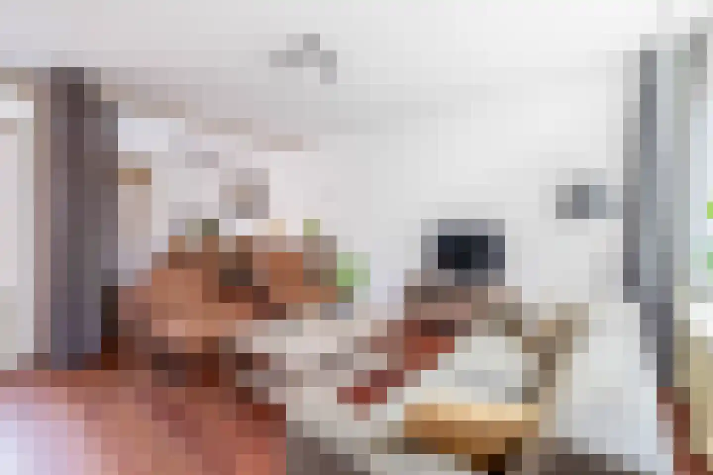 Esdoornhof 15 Dirksland thumbnail 8