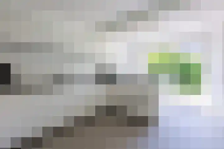 Esdoornhof 2 b Leusden thumbnail 11