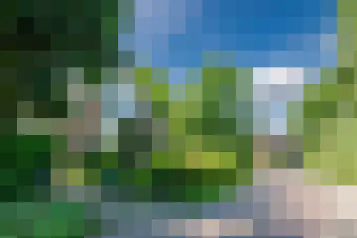Esdoornhof 2 b Leusden thumbnail 39