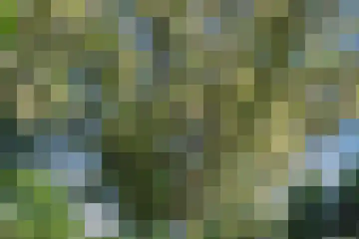Esdoornhof 2 b Leusden thumbnail 44
