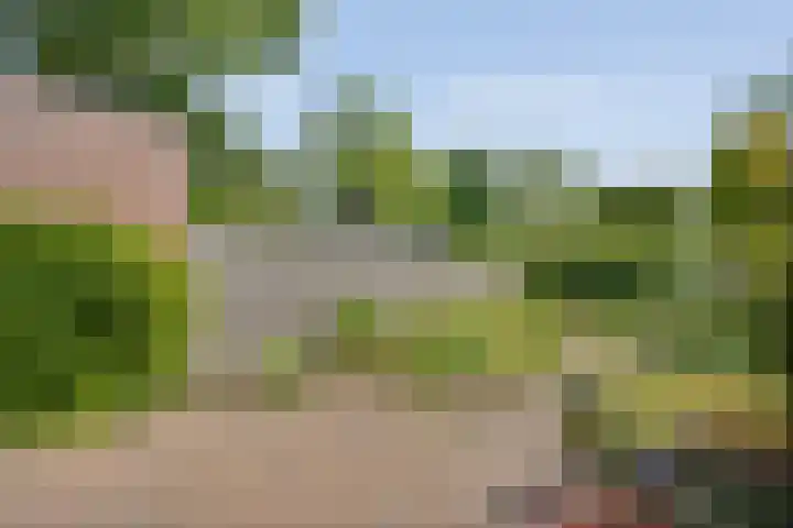 Esdoornhof 26 Kampen thumbnail 24