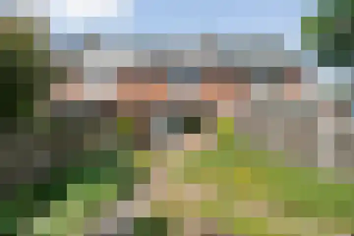 Esdoornhof 26 Kampen thumbnail 25