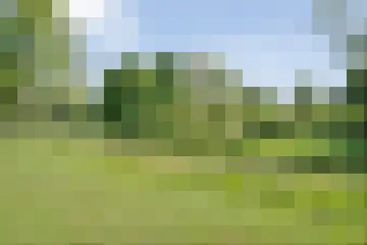 Esdoornhof 26 Kampen thumbnail 26