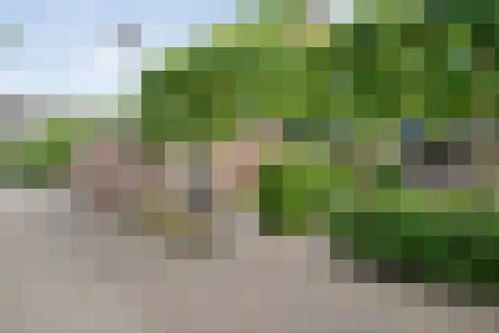 Esdoornhof 26 Kampen thumbnail 28