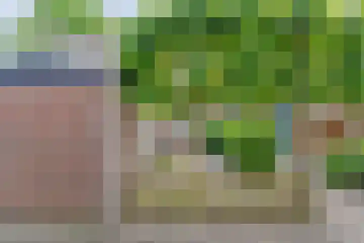 Esdoornhof 26 Kampen thumbnail 30