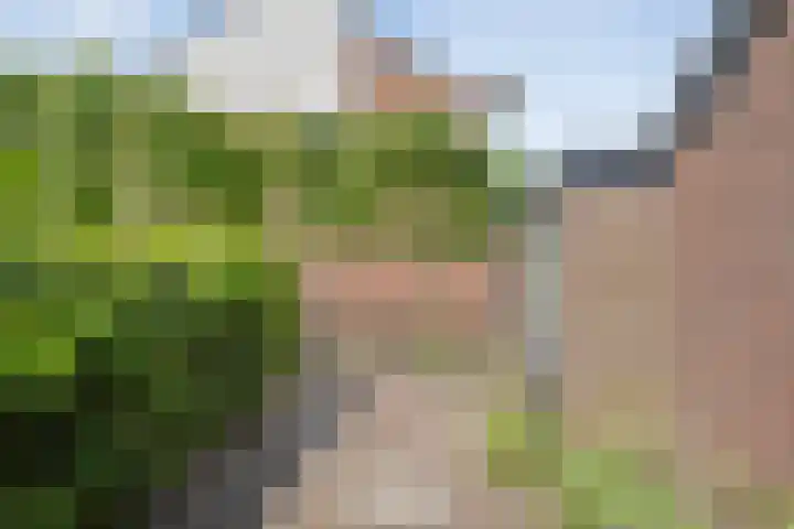 Esdoornhof 26 Kampen thumbnail 32