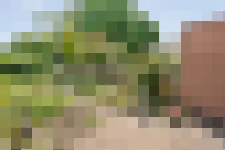 Esdoornhof 26 Kampen thumbnail 4