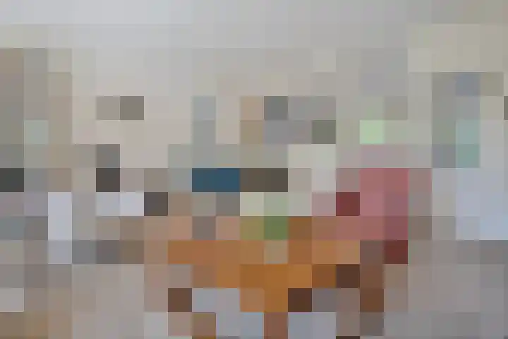 Esdoornhof 26 Kampen thumbnail 8