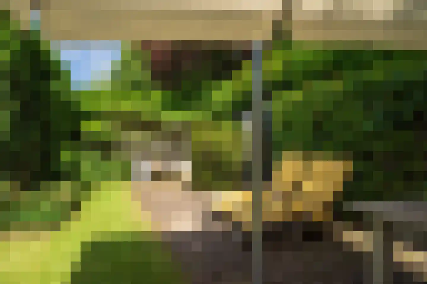Esdoornhof 26 Leusden thumbnail 11