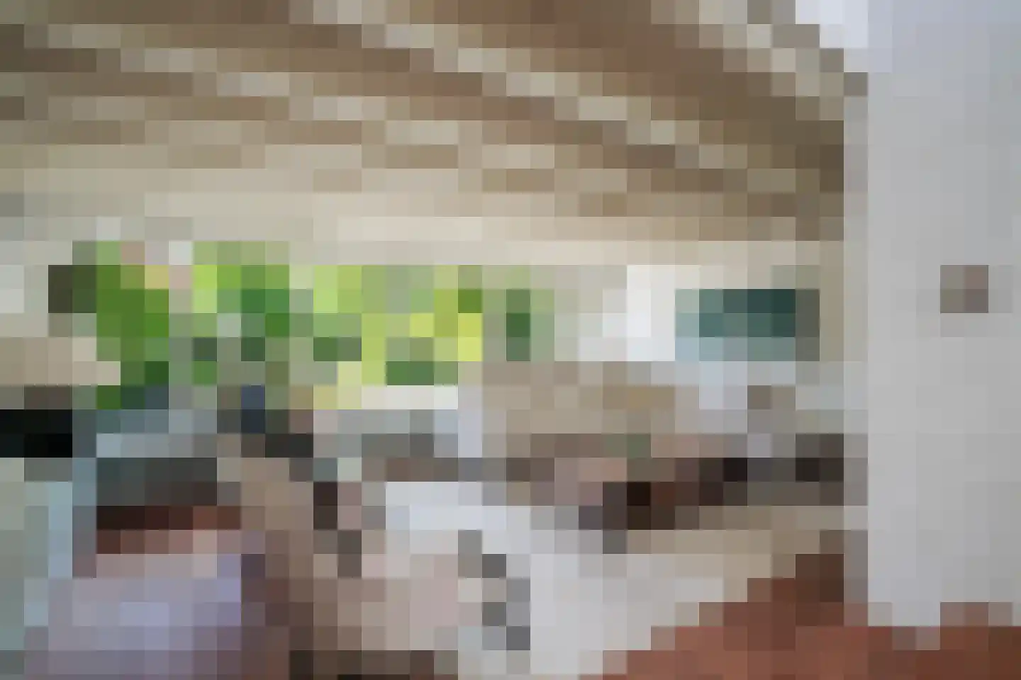 Esdoornhof 26 Leusden thumbnail 16