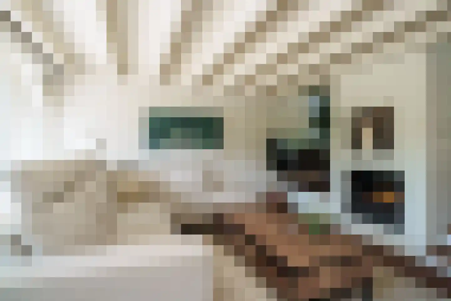 Esdoornhof 26 Leusden thumbnail 17