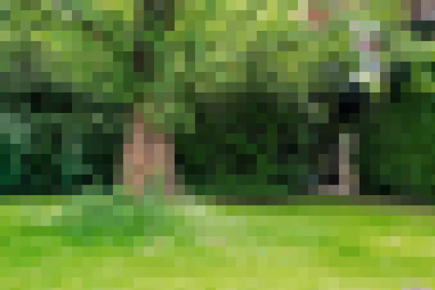 Esdoornhof 26 Leusden thumbnail 42