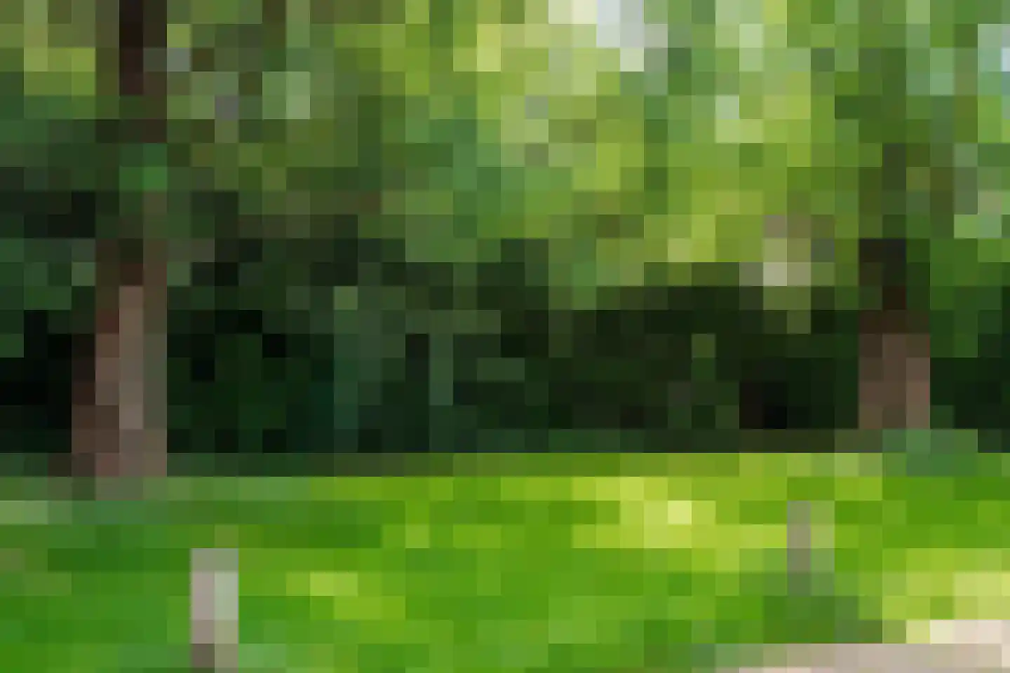 Esdoornhof 26 Leusden thumbnail 43