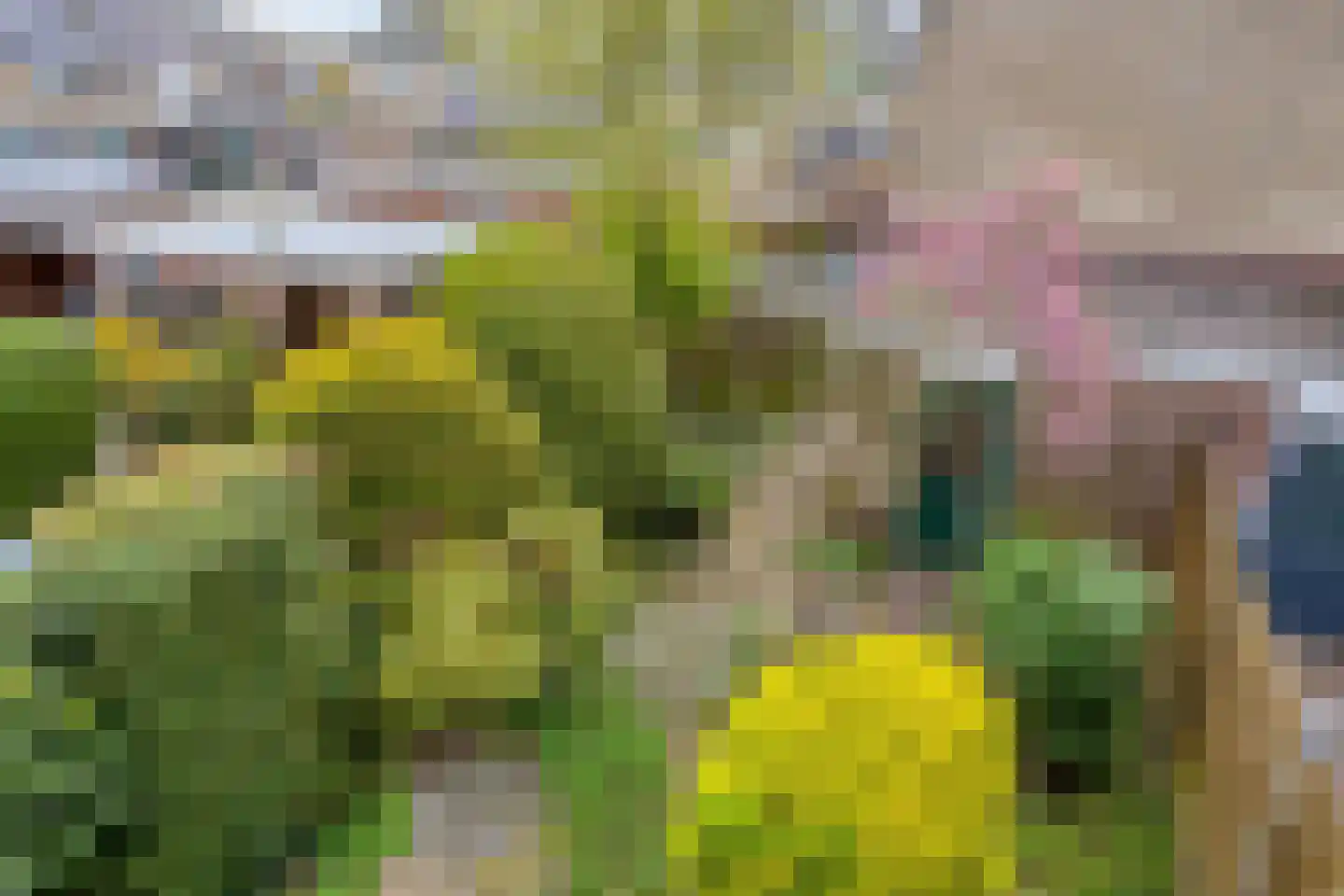 Esdoornhof 4 Krimpen aan den IJssel thumbnail 27