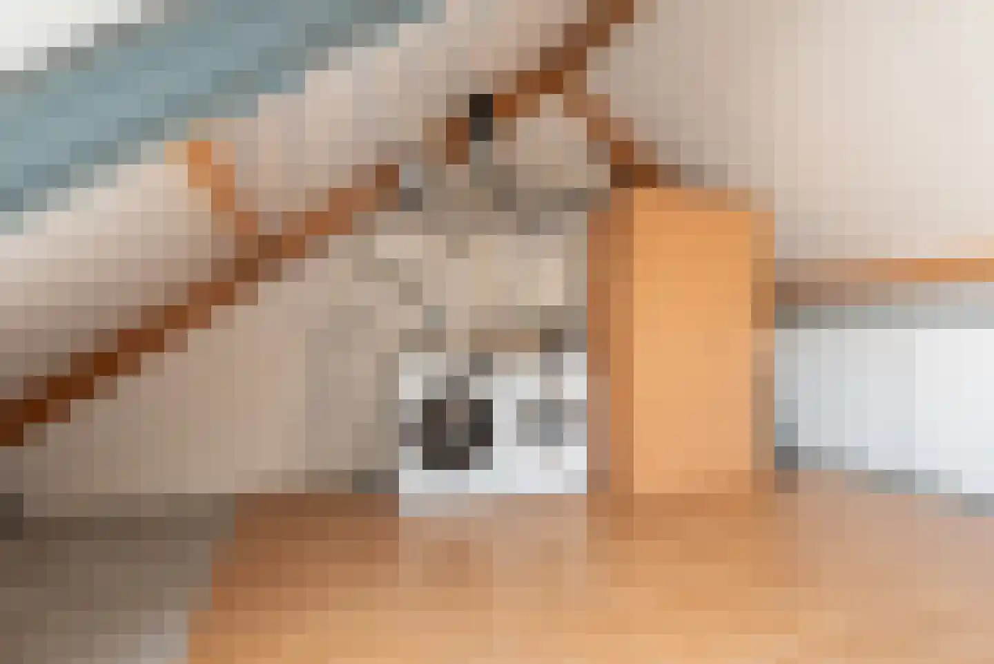 Esdoornhof 4 Liessel thumbnail 41