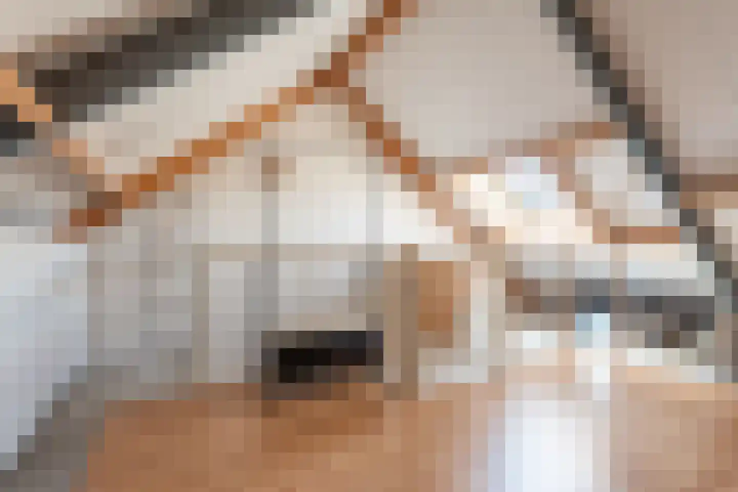 Esdoornhof 4 Liessel thumbnail 42