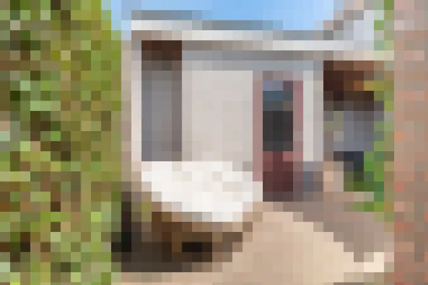 Esdoornhof 4 Liessel thumbnail 47