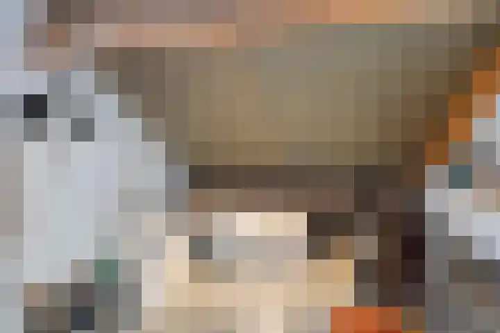 Esdoornhof 4 Malden thumbnail 21
