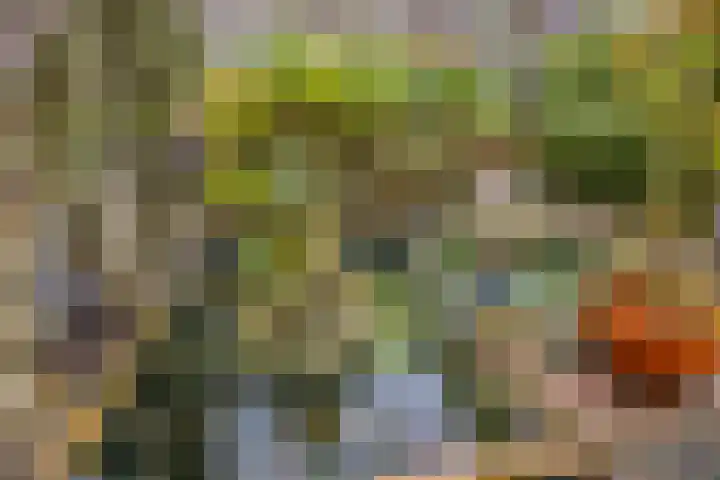 Esdoornhof 4 Malden thumbnail 25