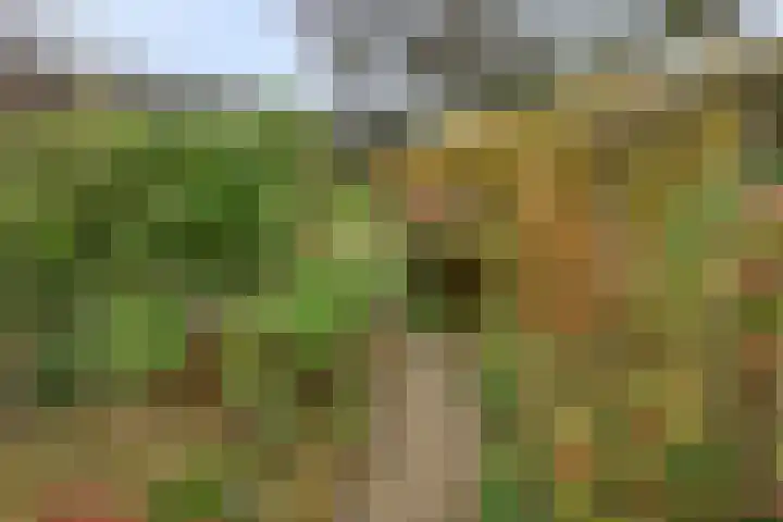 Esdoornhof 4 Malden thumbnail 26