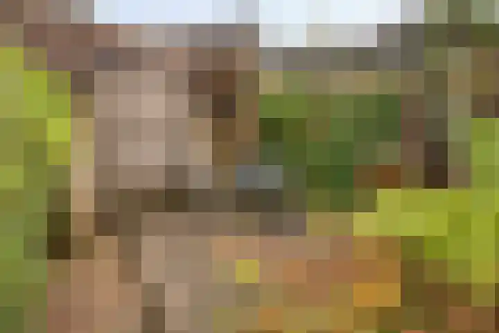 Esdoornhof 4 Malden thumbnail 27
