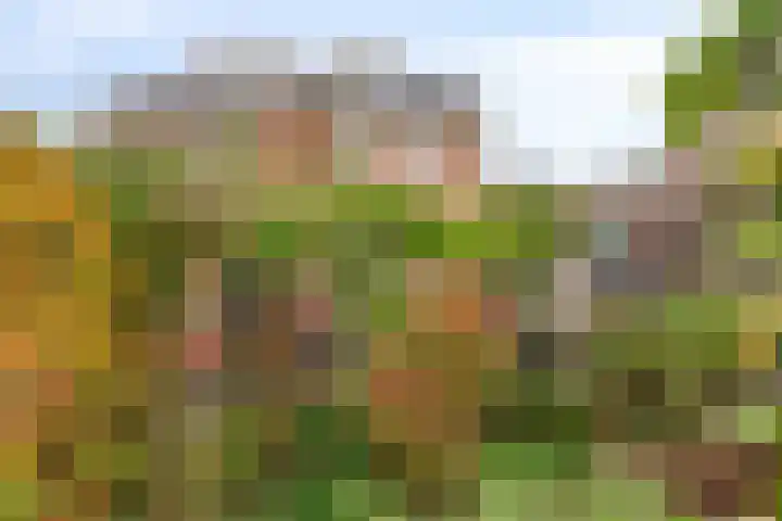 Esdoornhof 4 Malden thumbnail 28