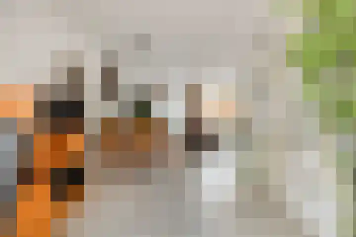 Esdoornhof 4 Malden thumbnail 5
