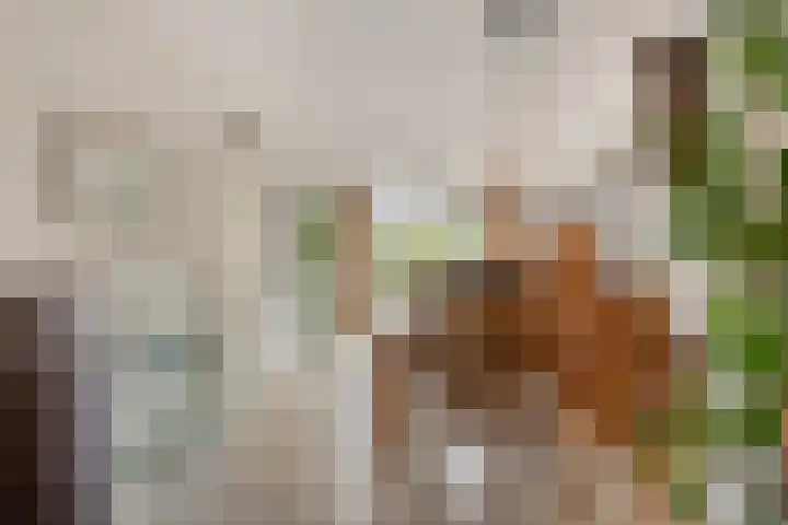 Esdoornhof 4 Malden thumbnail 6