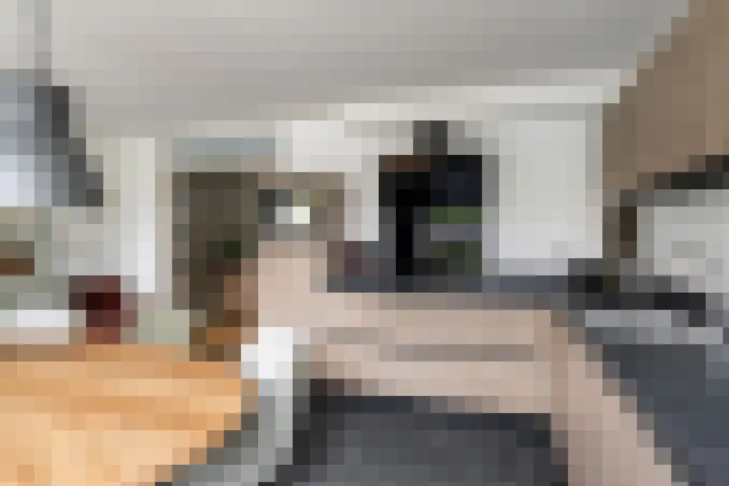 Esdoornhof 7 Sint Philipsland thumbnail 18