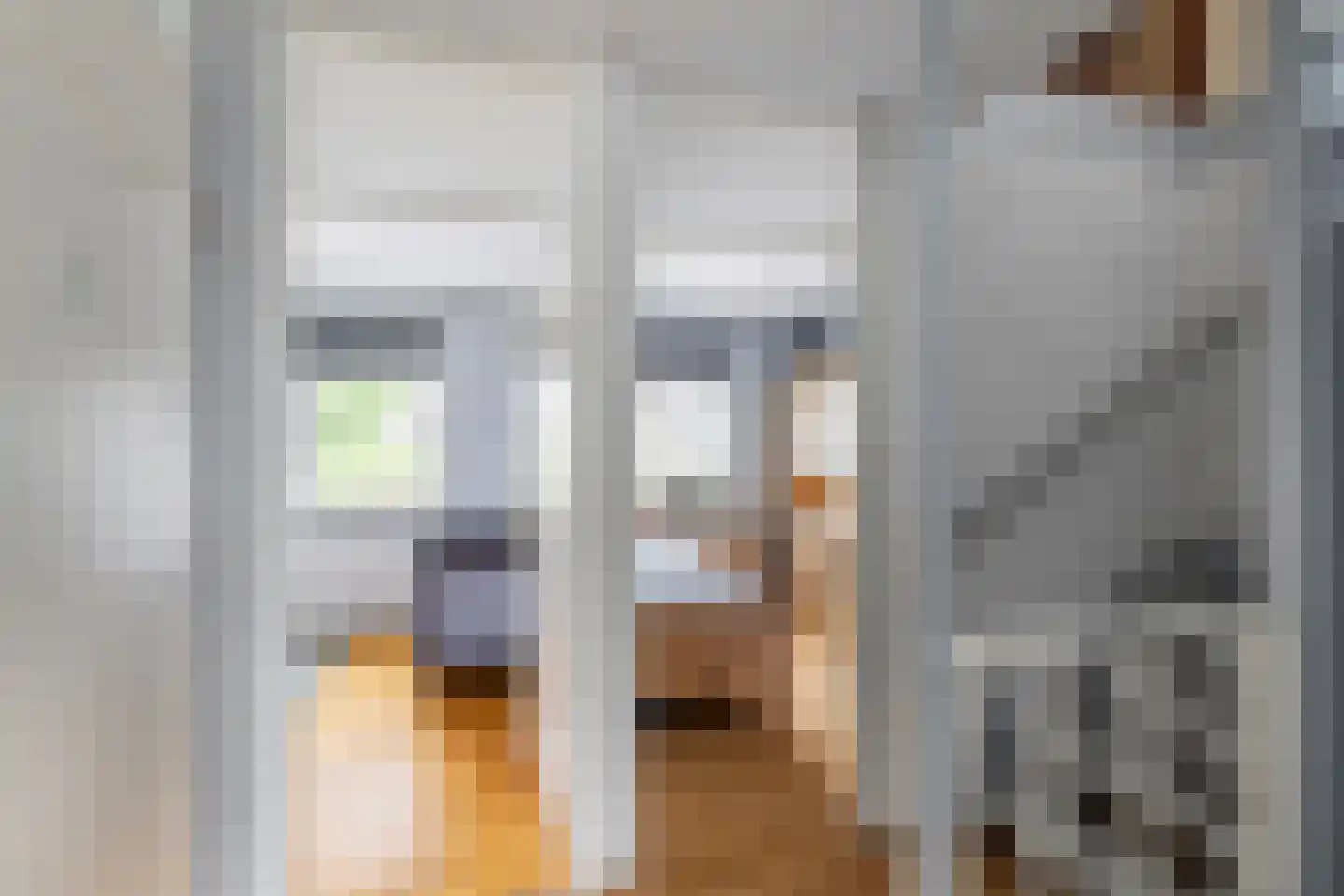 Esdoornhof 7 Sint Philipsland thumbnail 22