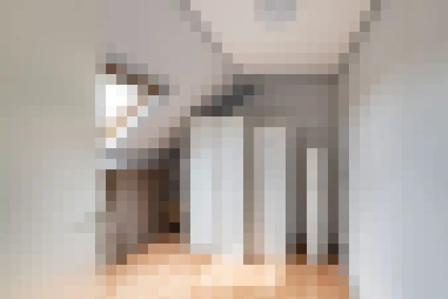 Esdoornhof 7 Sint Philipsland thumbnail 35