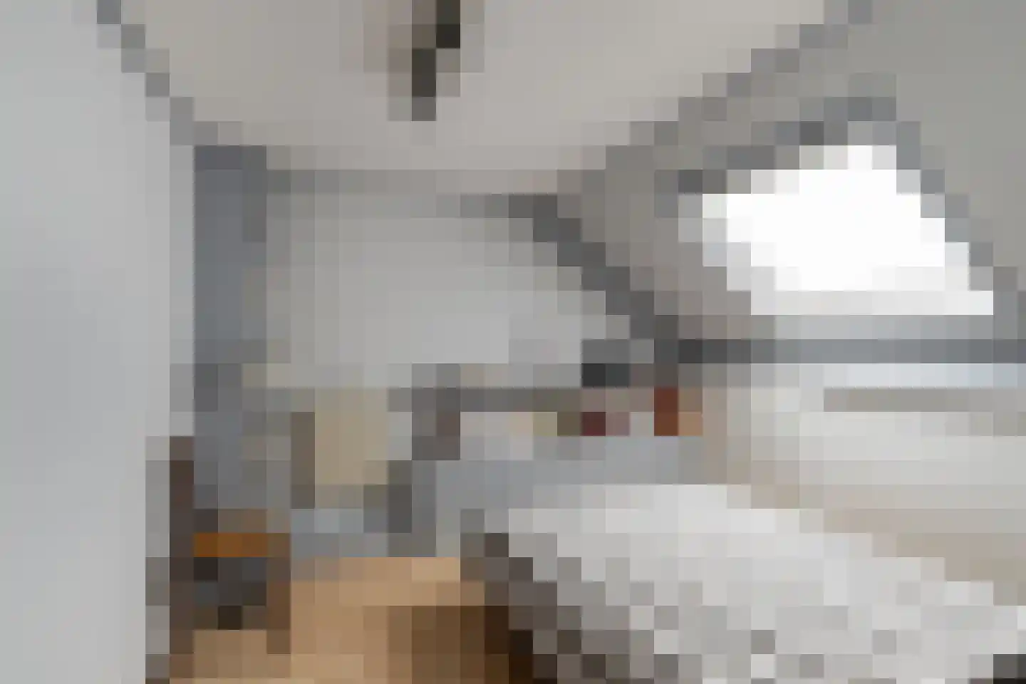Esdoornhof 7 Sint Philipsland thumbnail 38