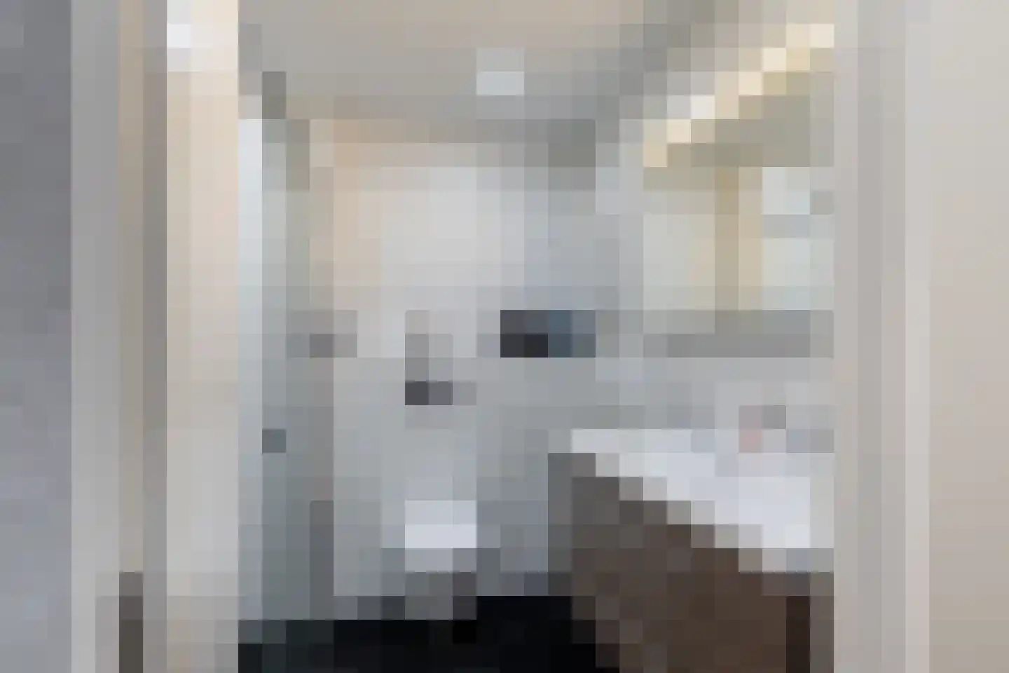 Esdoornhof 7 Sint Philipsland thumbnail 4