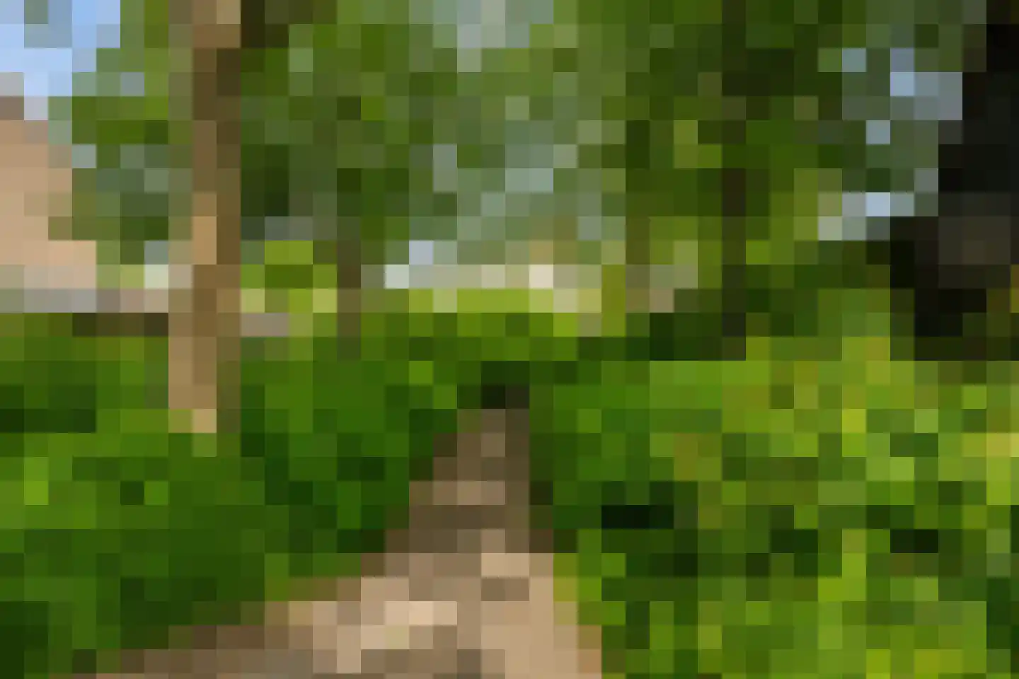 Esdoornhof 7 Sint Philipsland thumbnail 46