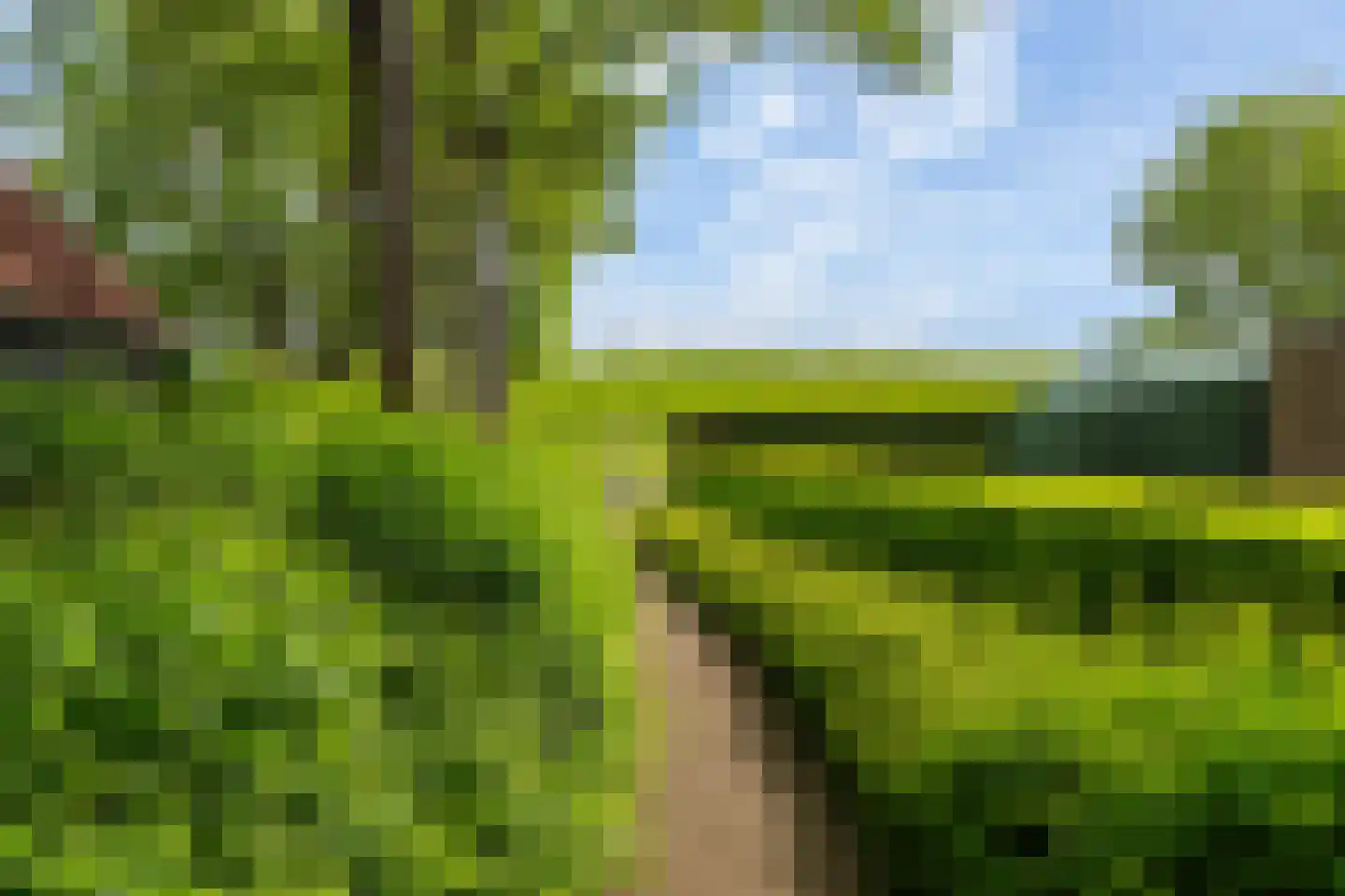 Esdoornhof 7 Sint Philipsland thumbnail 47