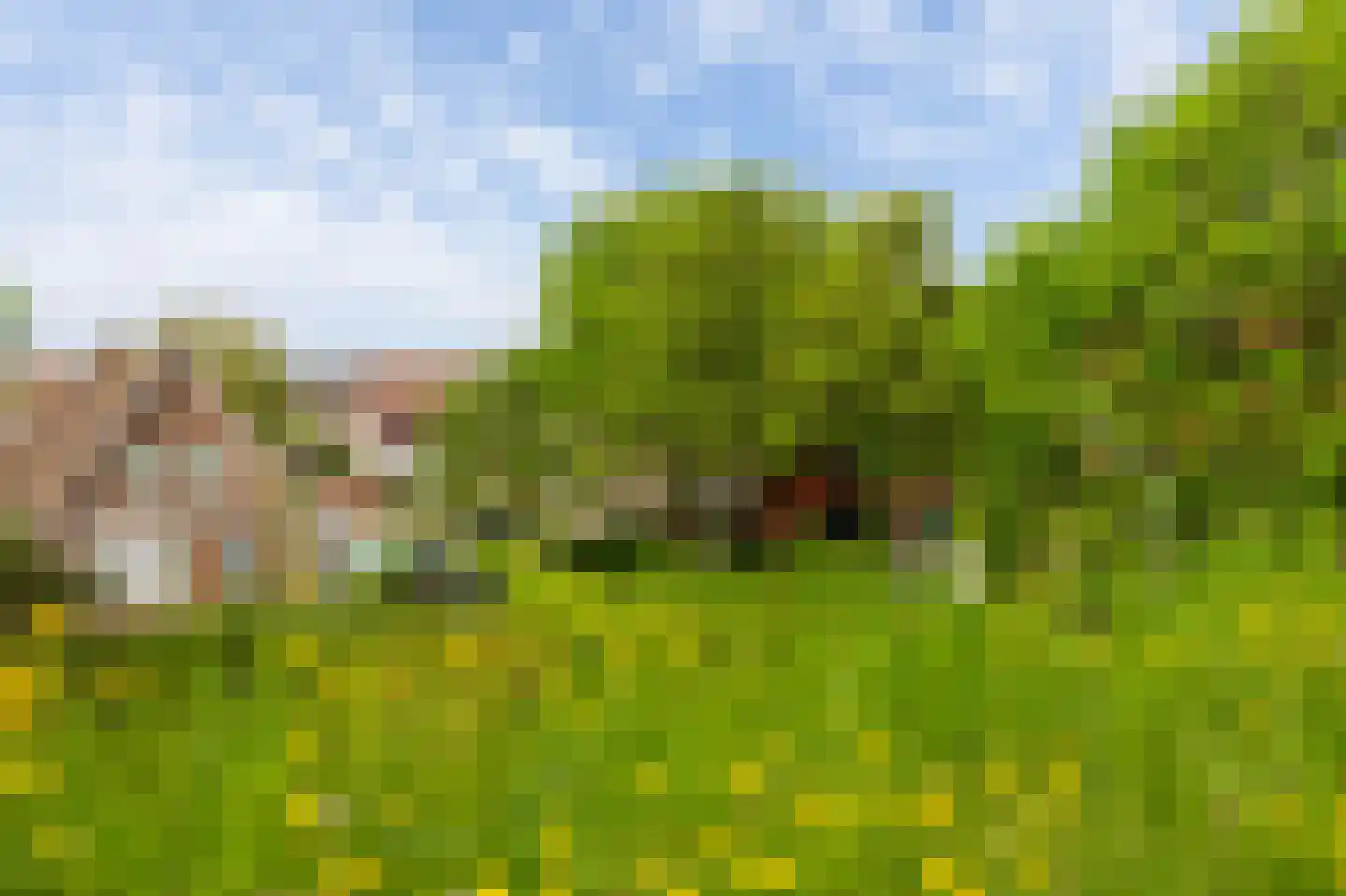 Esdoornhof 7 Sint Philipsland thumbnail 49