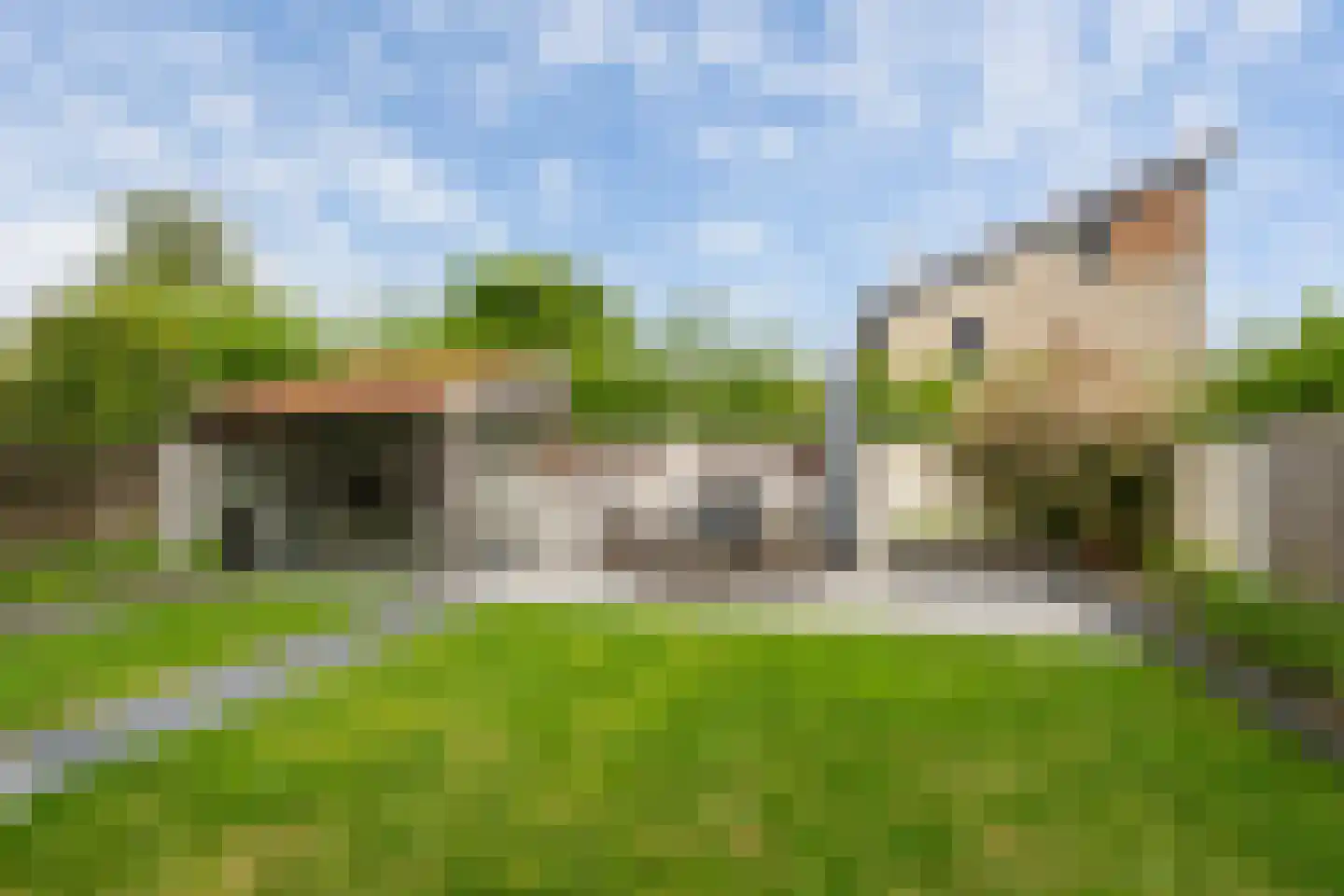 Esdoornhof 7 Sint Philipsland thumbnail 5