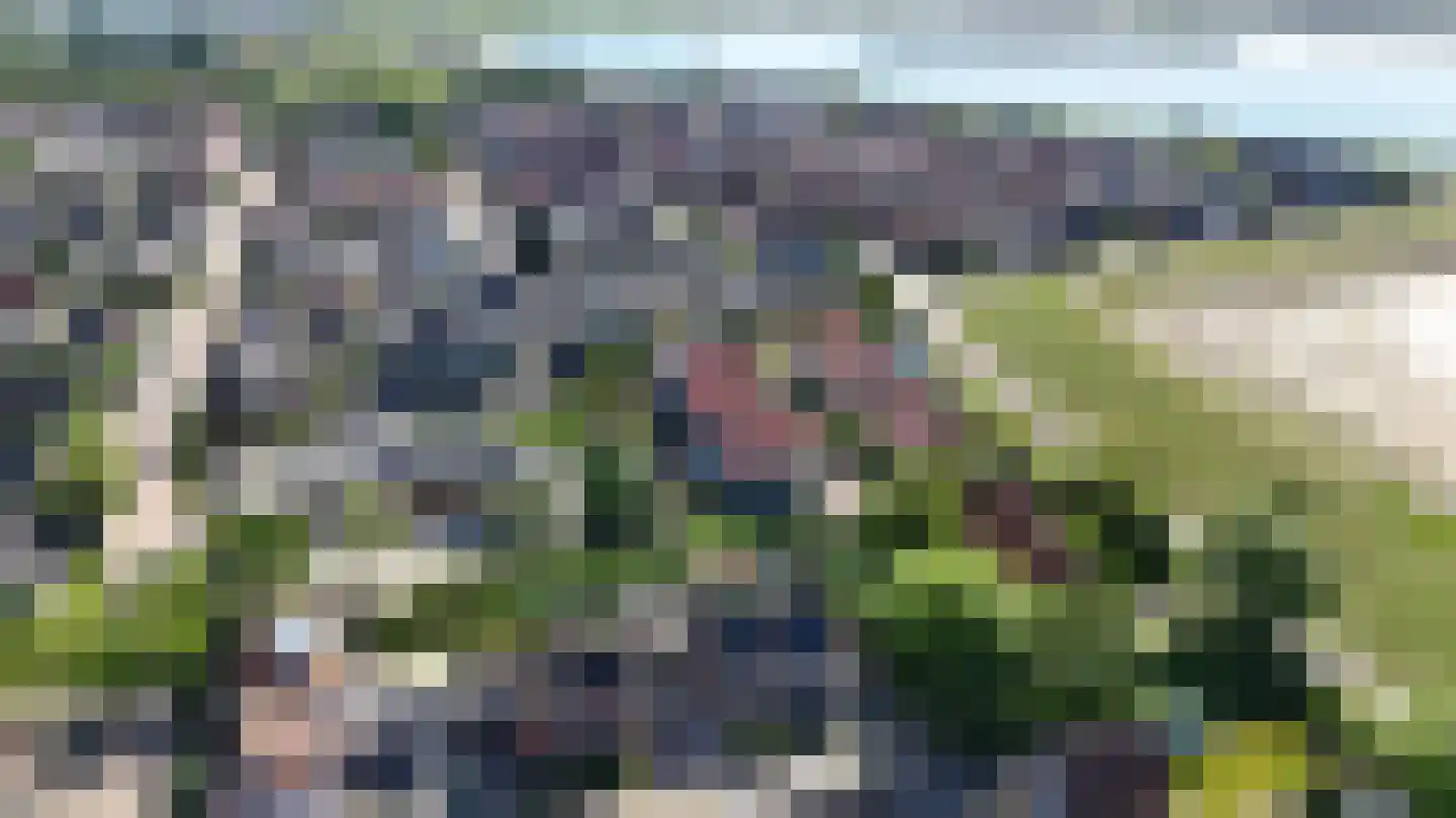 Esdoornhof 7 Sint Philipsland thumbnail 6