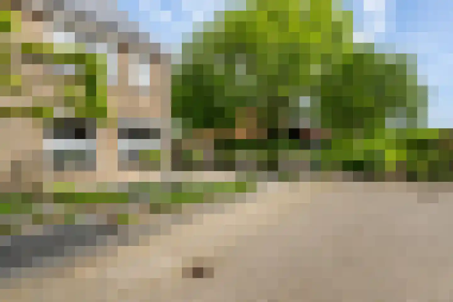 Esdoornhof 7 Sint Philipsland thumbnail 8