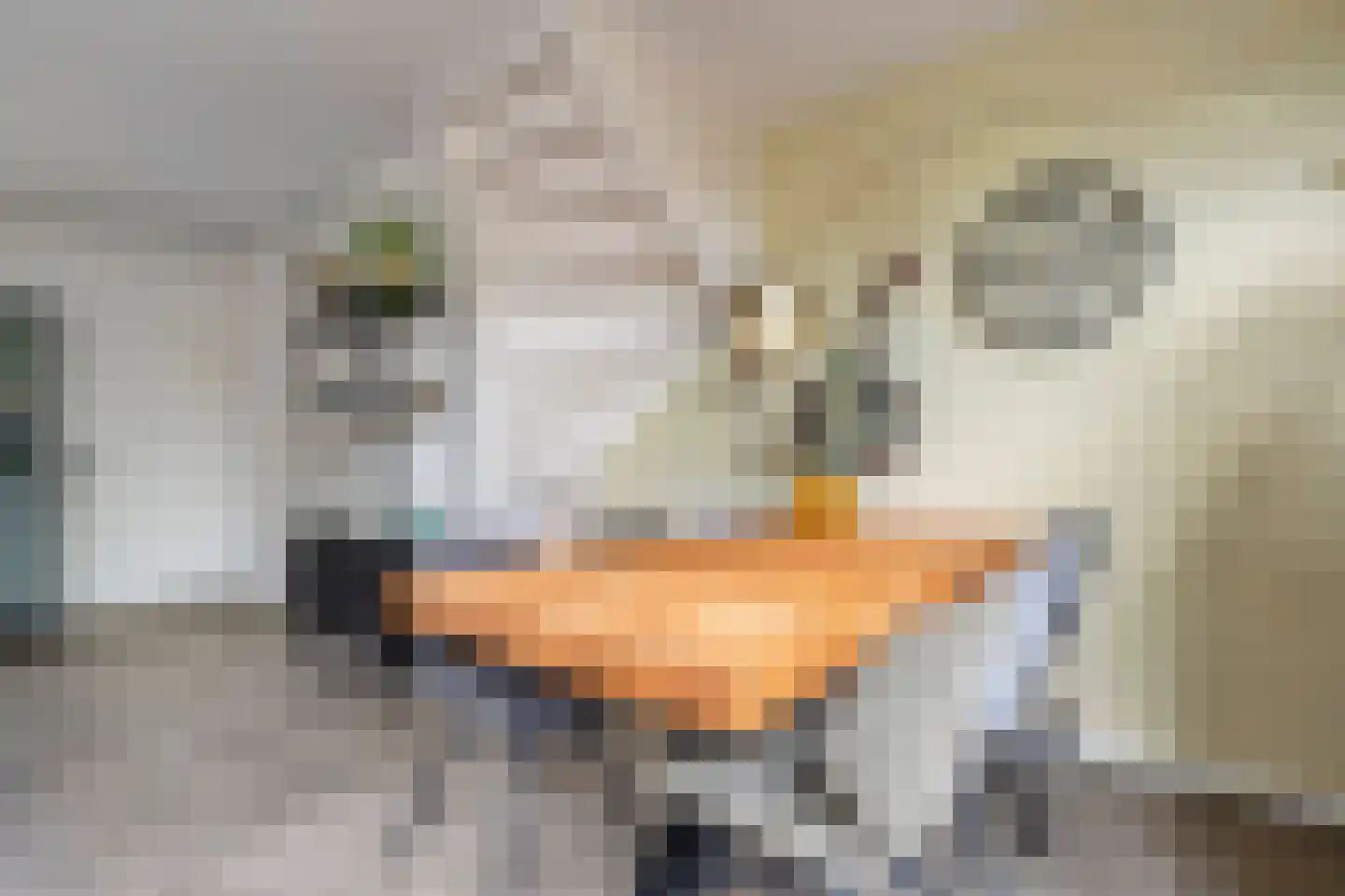 Esdoornhof 72 Kampen thumbnail 14
