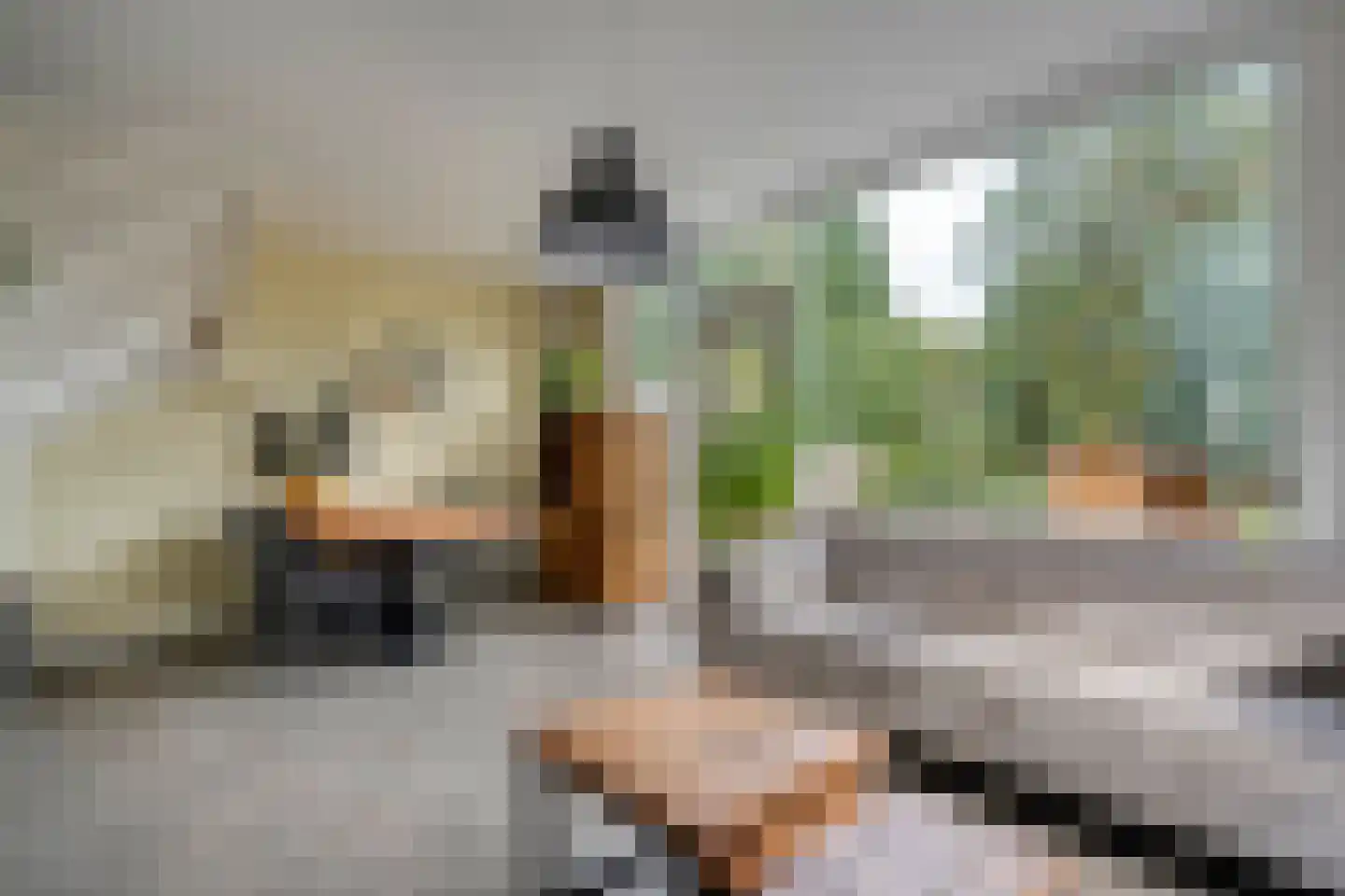 Esdoornhof 72 Kampen thumbnail 18