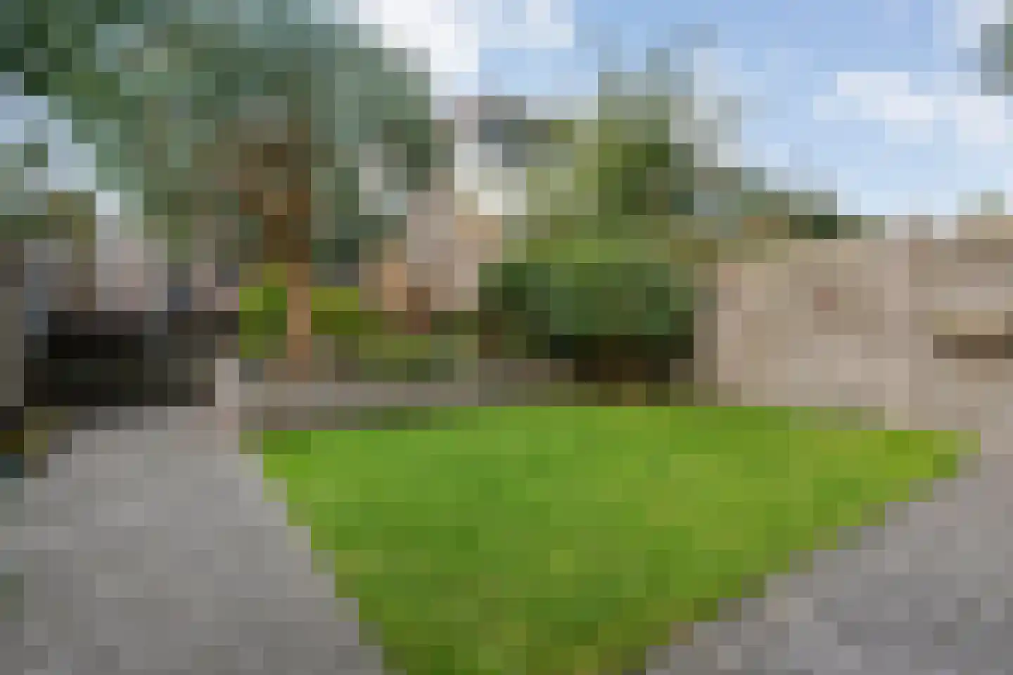 Esdoornhof 72 Kampen thumbnail 35
