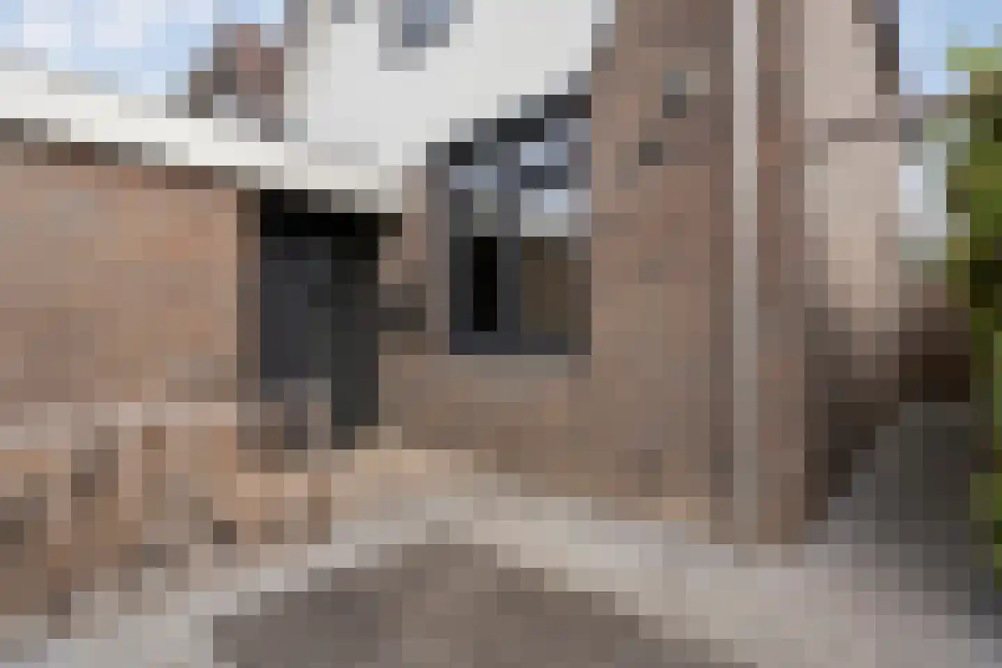 Esdoornhof 72 Kampen thumbnail 41