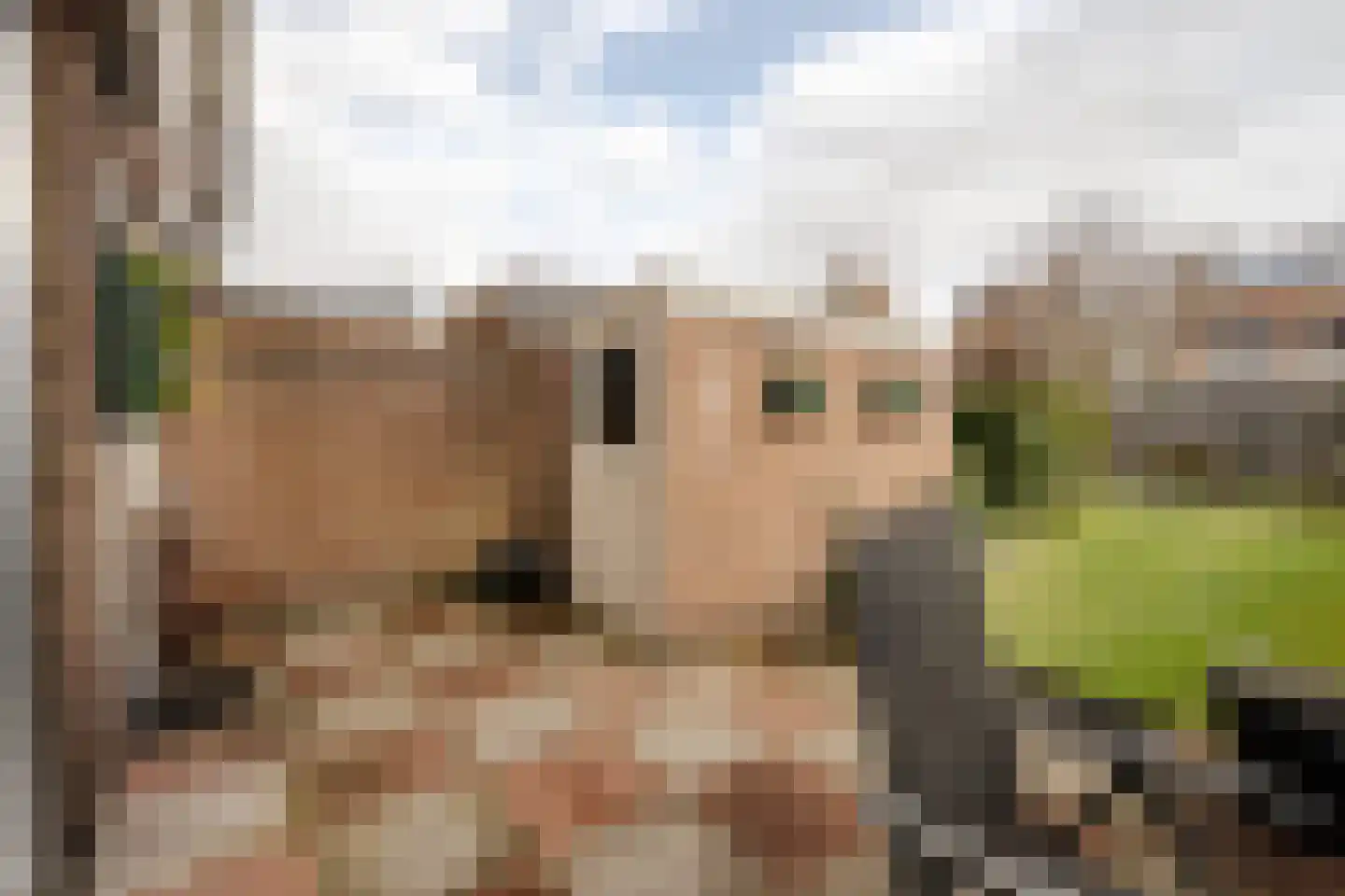 Esdoornkade 25 Heemstede thumbnail 22