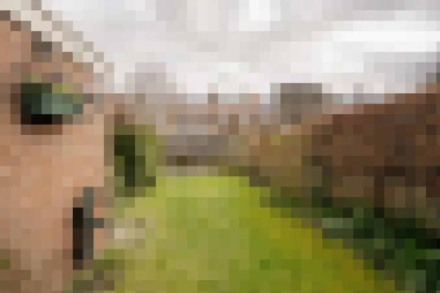 Esdoornkade 25 Heemstede thumbnail 23