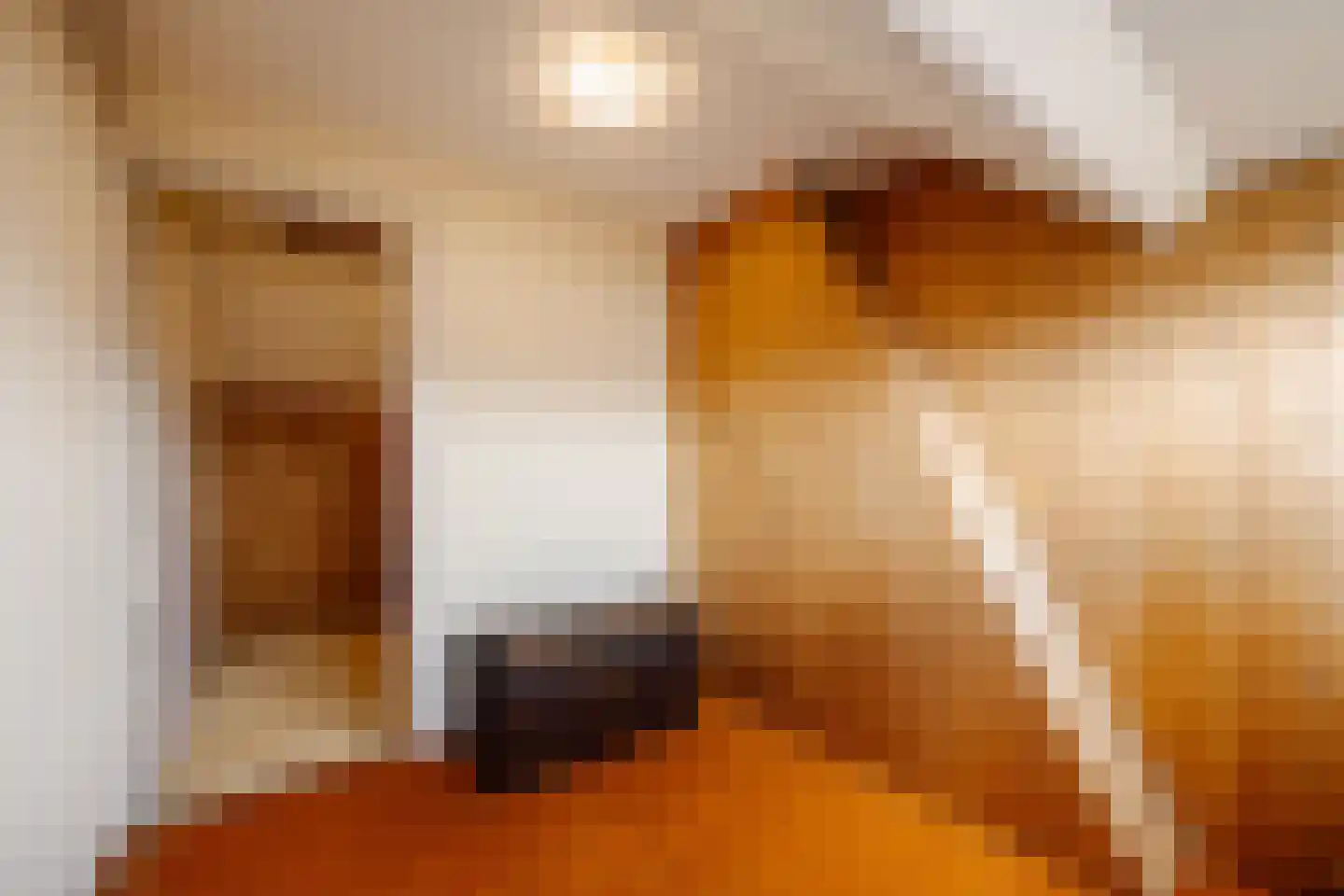 Esdoornkade 25 Heemstede thumbnail 44