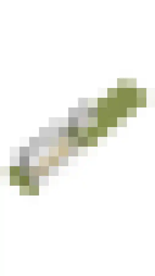 Esdoornkade 25 Heemstede thumbnail 59