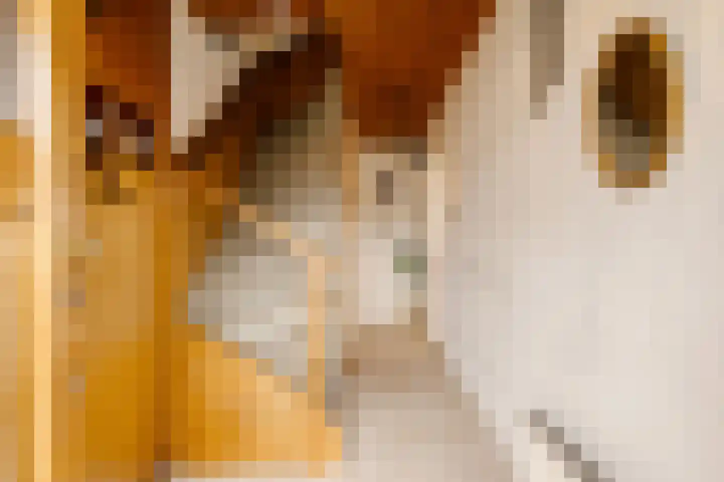 Esdoornkade 25 Heemstede thumbnail 9