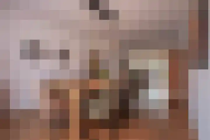 Esdoornlaan 1 a Haelen thumbnail 10